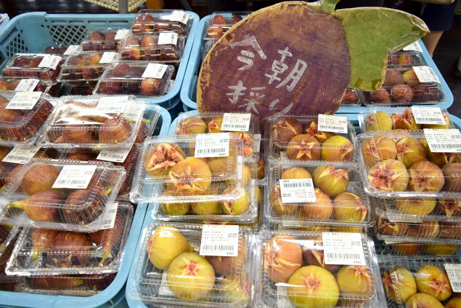 2.道の駅 うきは【うきは市】-1