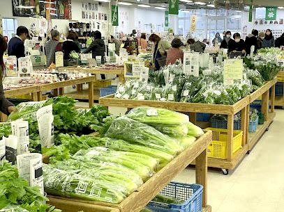6.道の駅 みやま【みやま市】-1