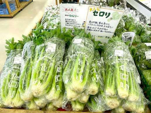 6.道の駅 みやま【みやま市】-2