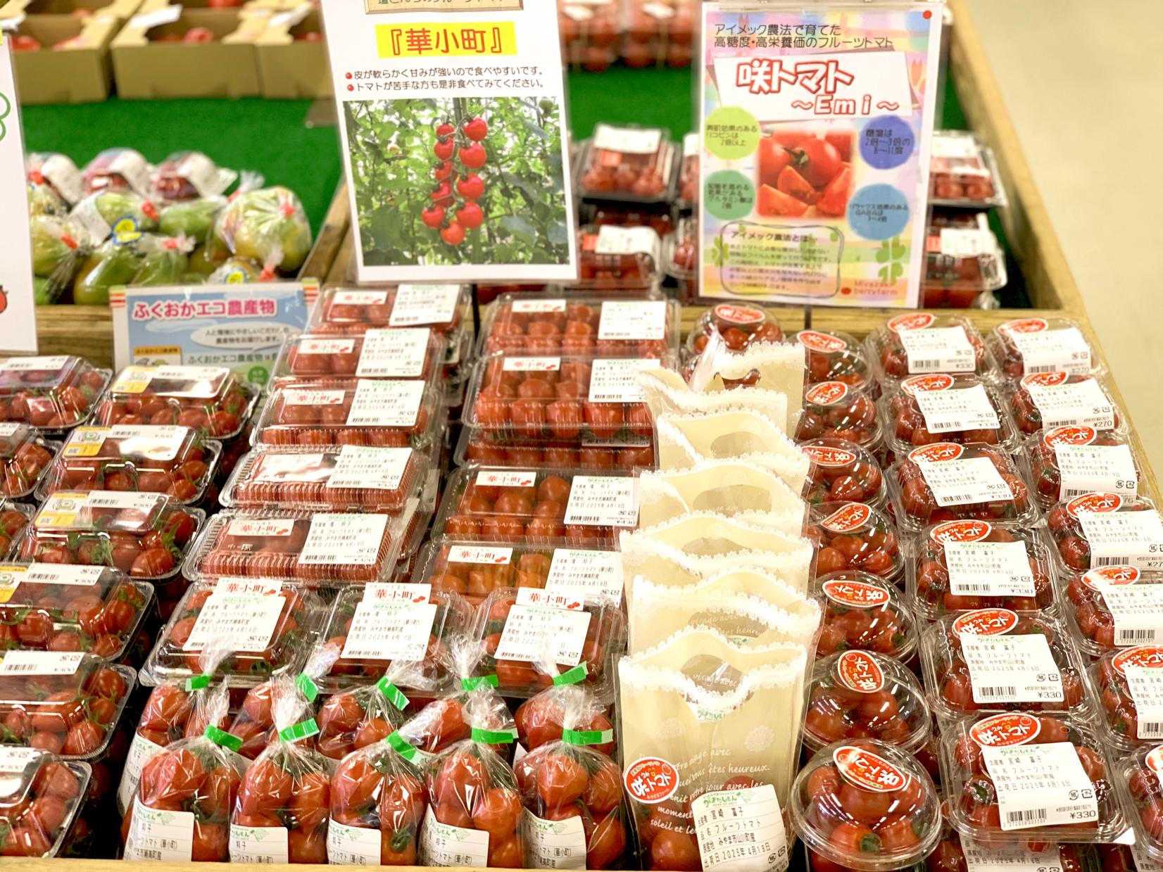 6.道の駅 みやま【みやま市】-4