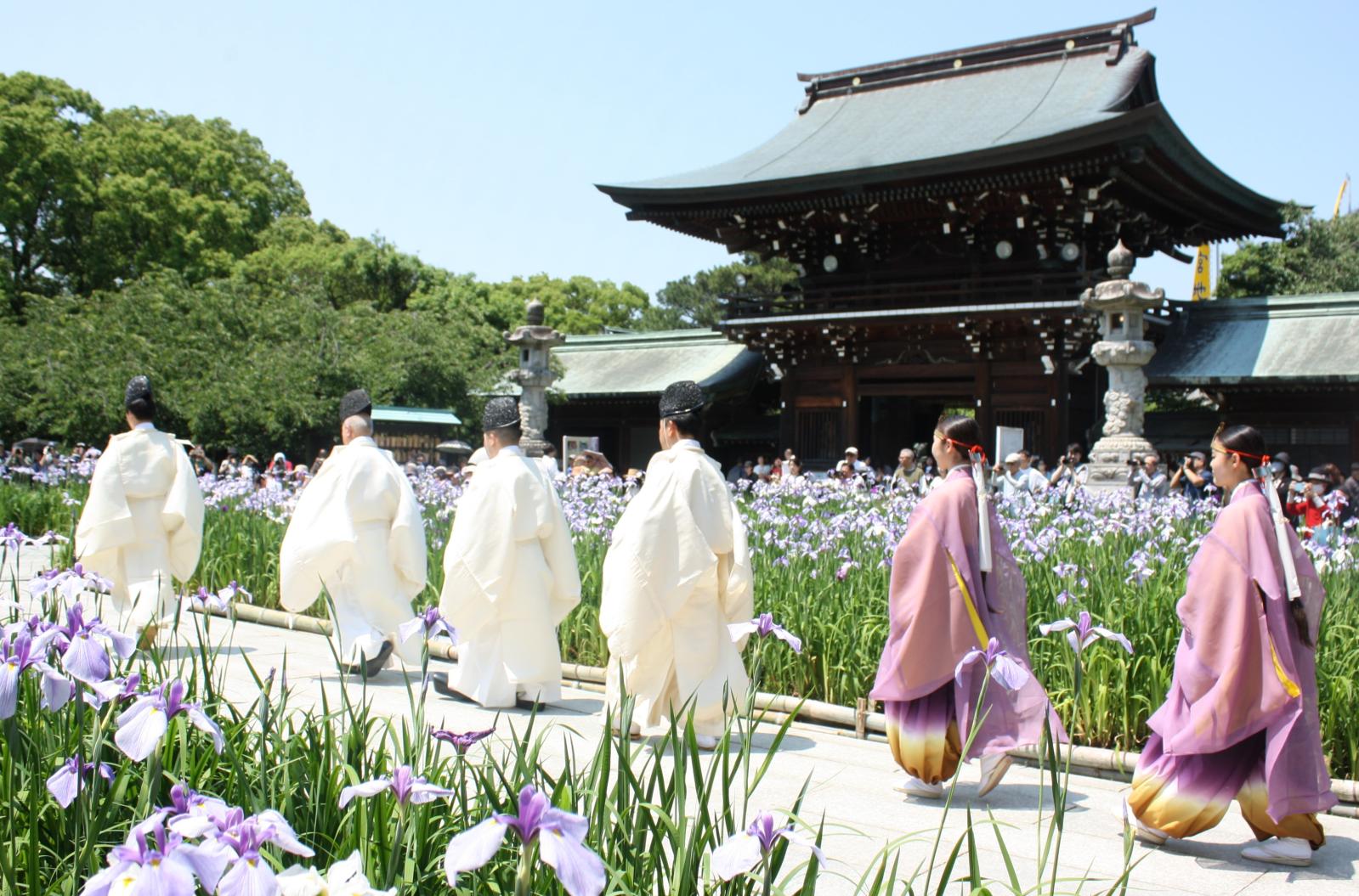 ①菖蒲まつり（5月中旬〜6月上旬）-0