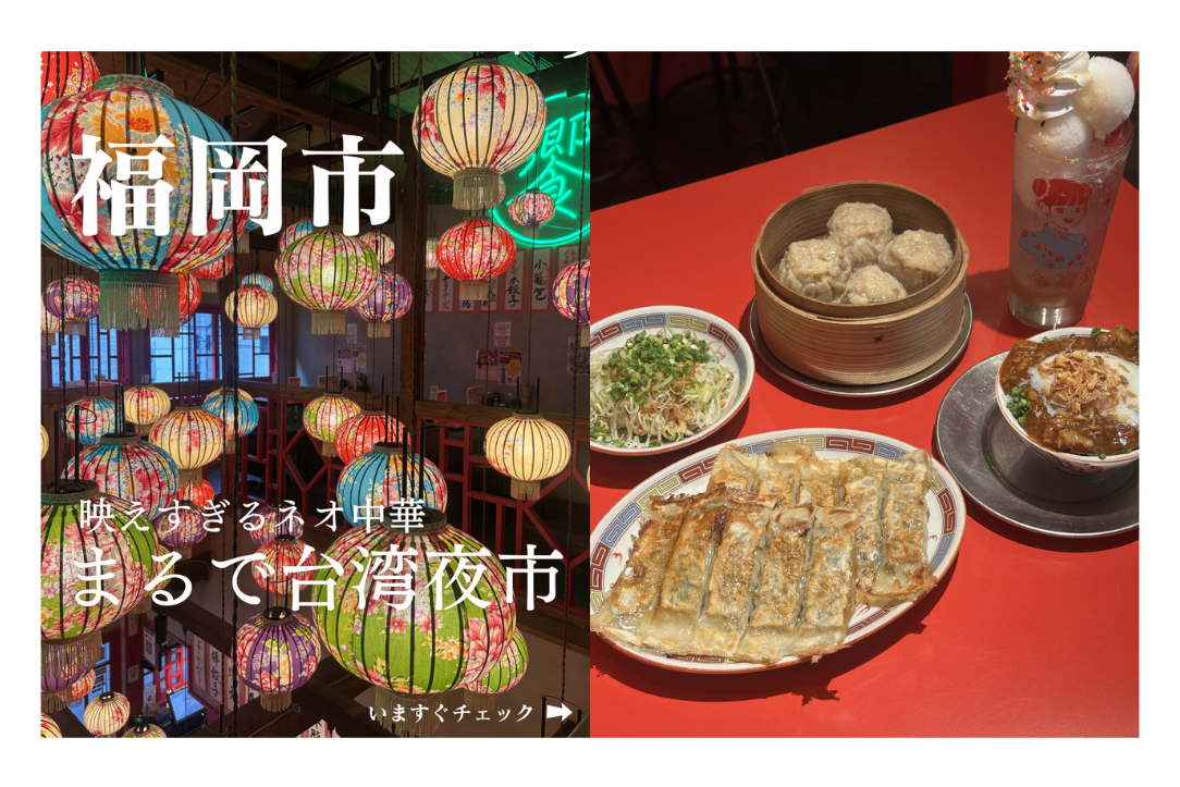 【4位】まるで台湾夜市「台湾餃子 楊喜」（福岡市）／8月19日-0