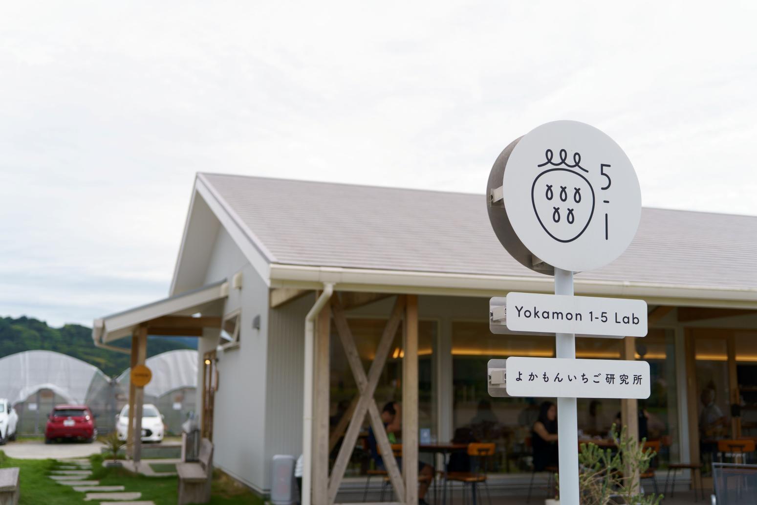 【5位】いちご農園が手掛ける「よかもんいちご研究所」（うきは市）／7月11日-3