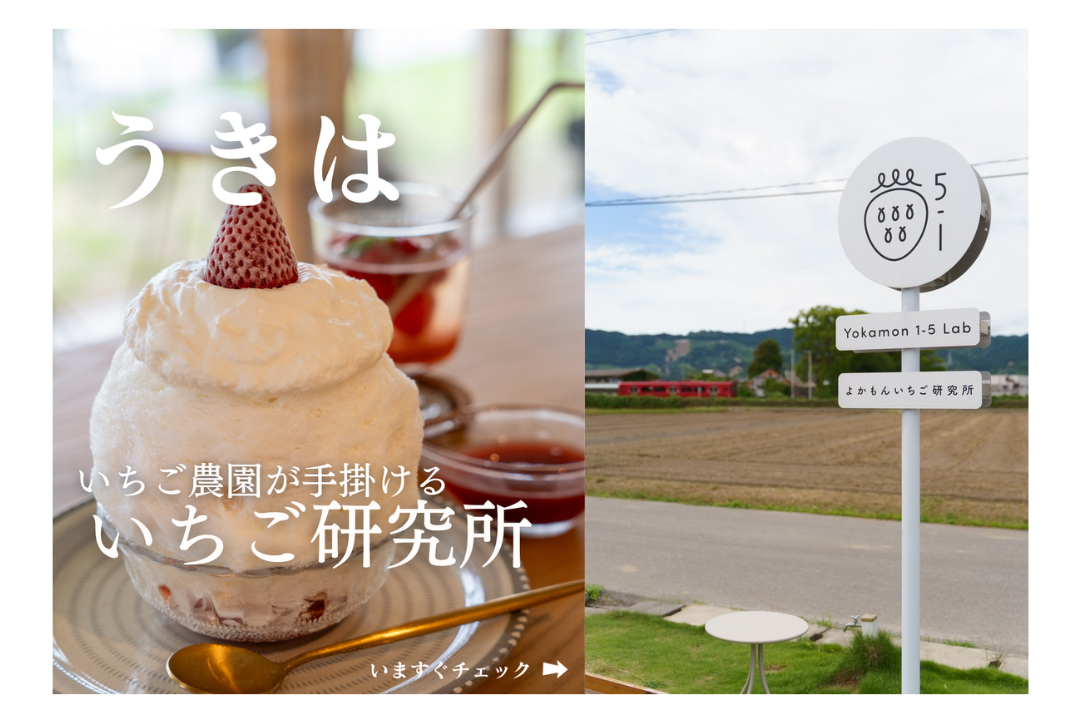 【5位】いちご農園が手掛ける「よかもんいちご研究所」（うきは市）／7月11日-0