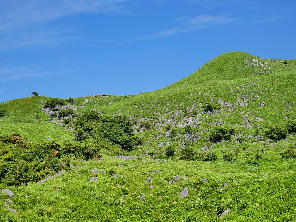 まるで草原で遊ぶヒツジの群れ!?日本を代表するカルスト台地「平尾台」-0