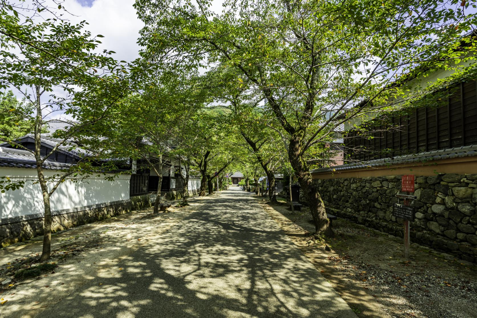 筑前の小京都・秋月ってどんなところ？-1