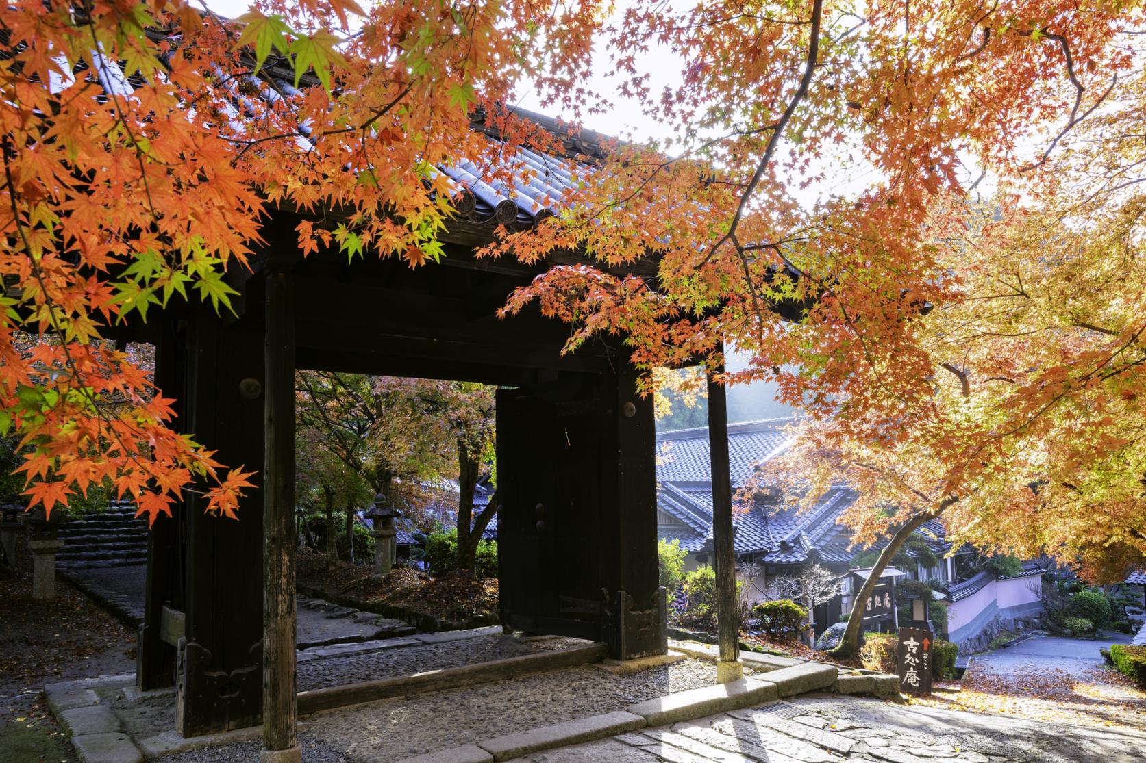 筑前の小京都・秋月ってどんなところ？-5