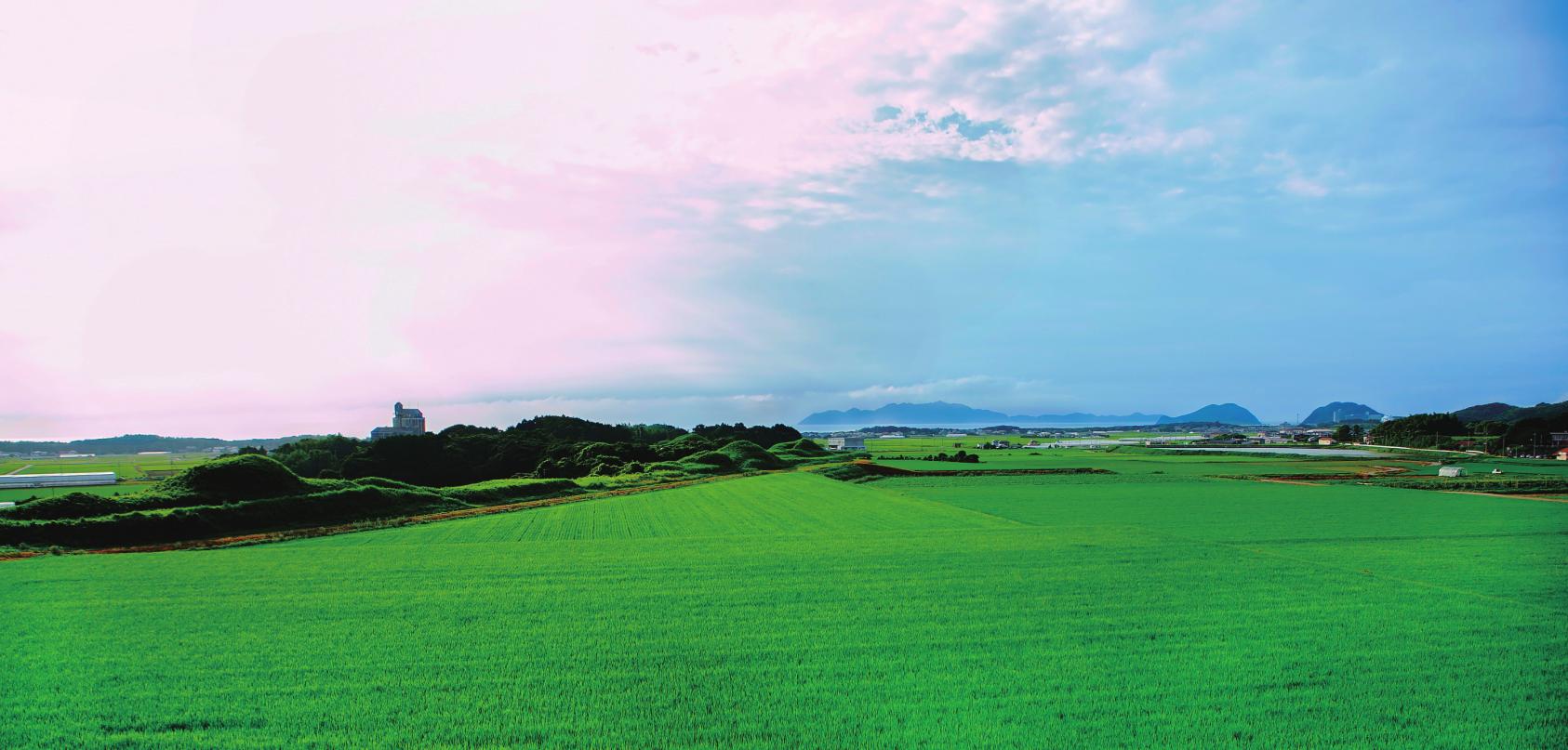 新原・奴山古墳群-0