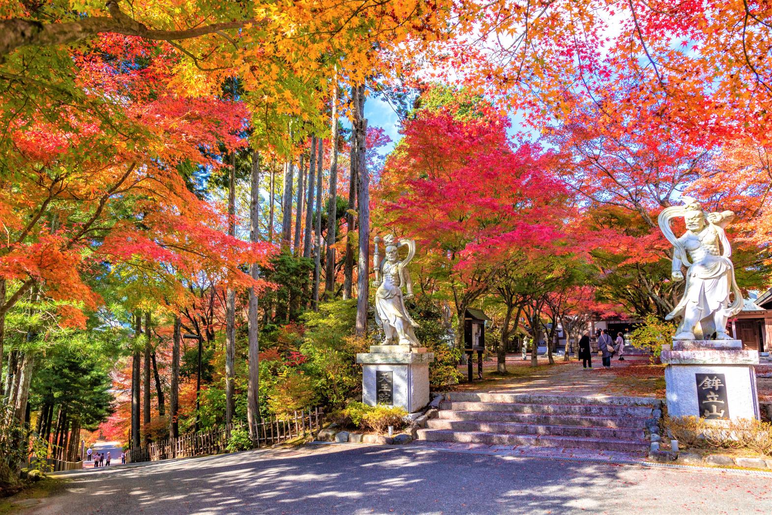 See the Beautiful Fall Foliage of Nomiyama Kannon-ji Temple That Attracts One Million Visitors a Year!-0