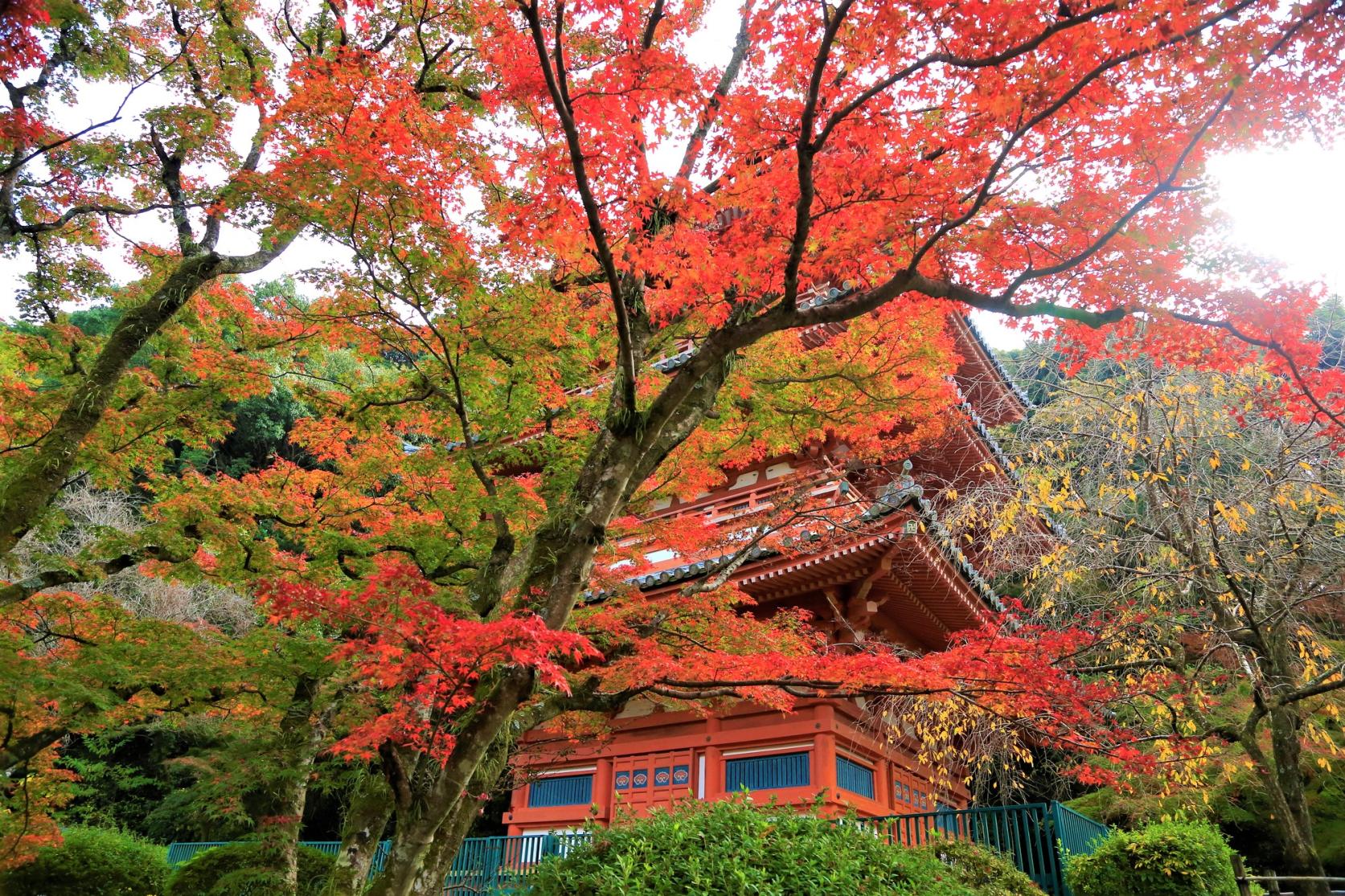 The Beautiful Three-Storied Pagoda of the 1,200-Year-Old Kiyomizu Temple!-1