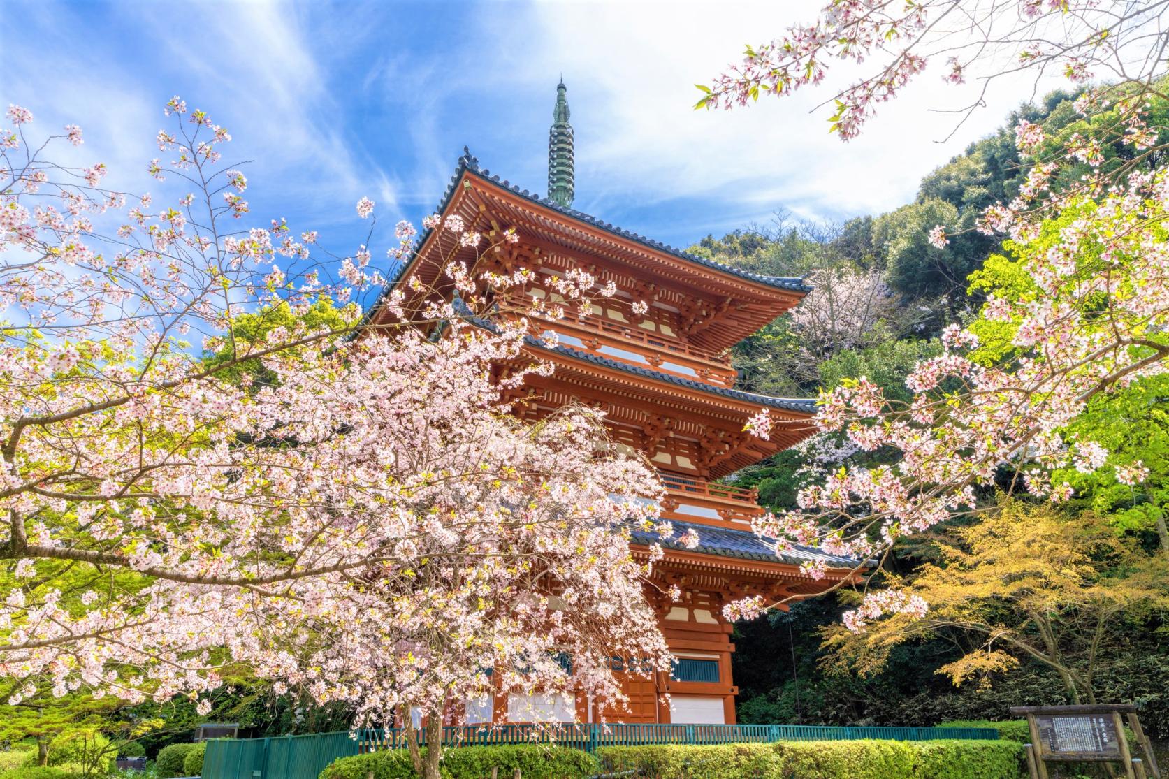 The Beautiful Three-Storied Pagoda of the 1,200-Year-Old Kiyomizu Temple!-0