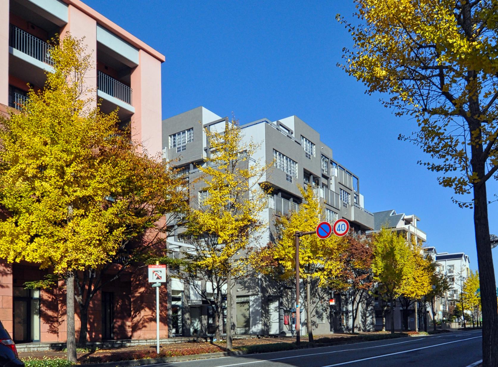 世界の建築家通り／黒川紀章ほか – 1990年-1