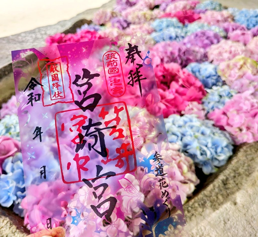 筥崎宮（福岡市東区）-1