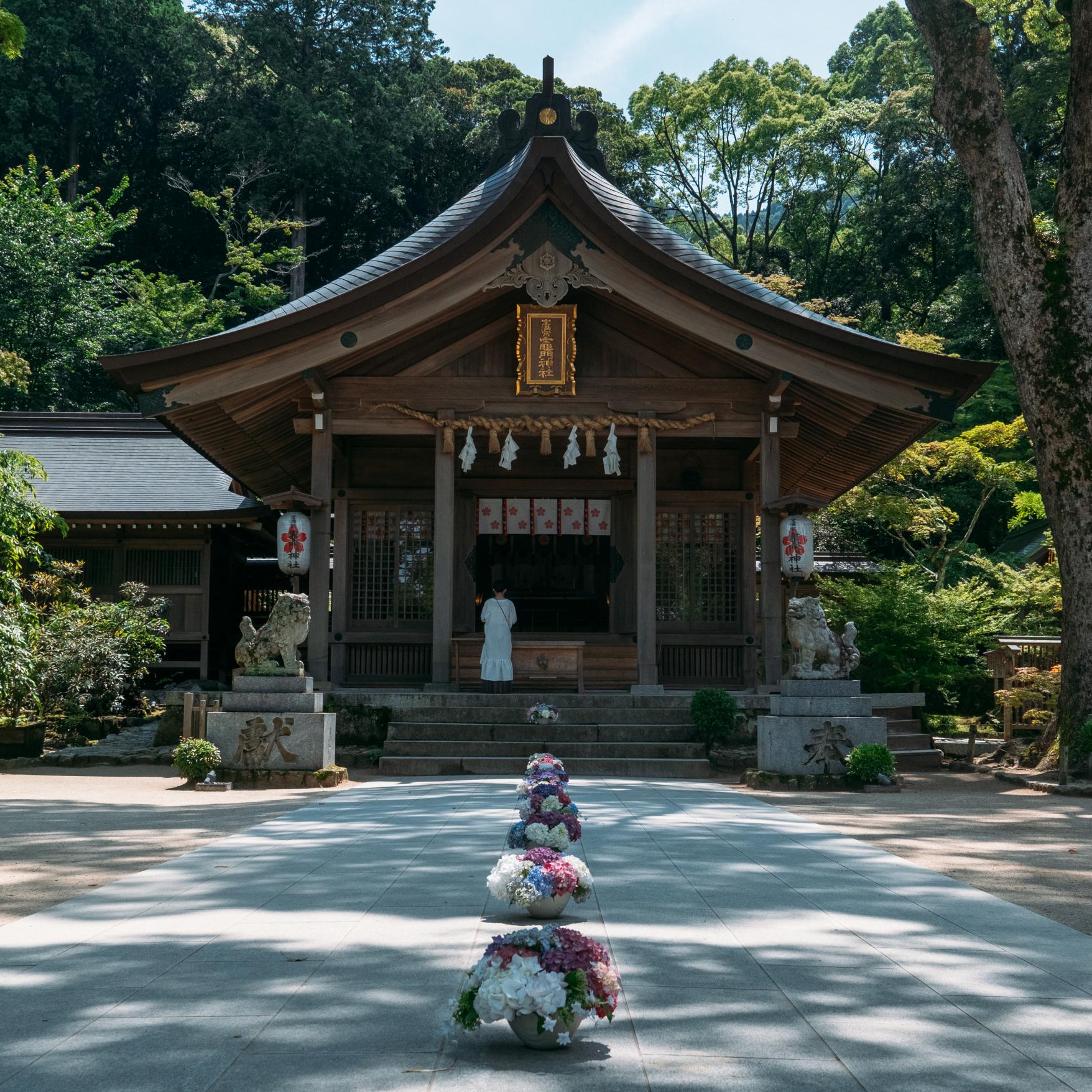 宝満宮 竈門神社（太宰府市）-3