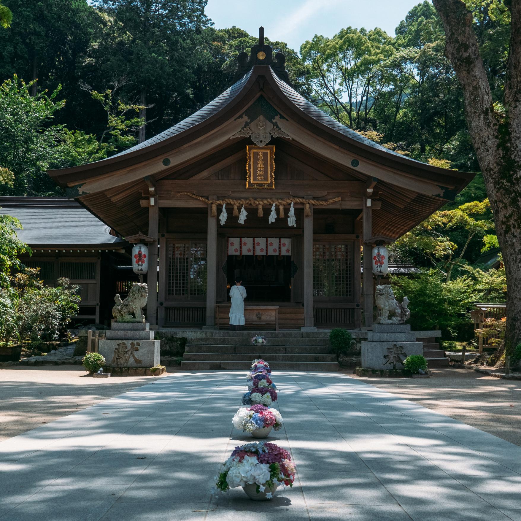 宝満宮 竈門神社（太宰府市）-2