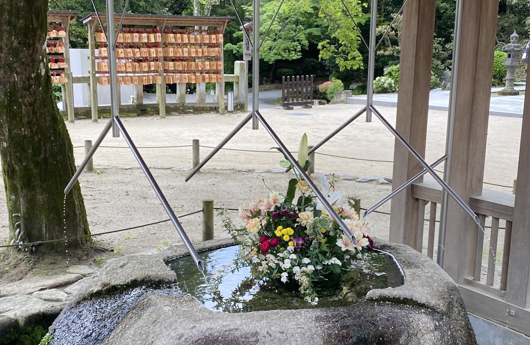 宝満宮 竈門神社（太宰府市）-0