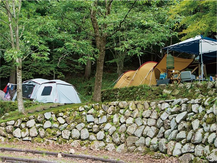 川と森の自然に包まれて！つづみの里公園 「ポーン太の森キャンプ場」-0