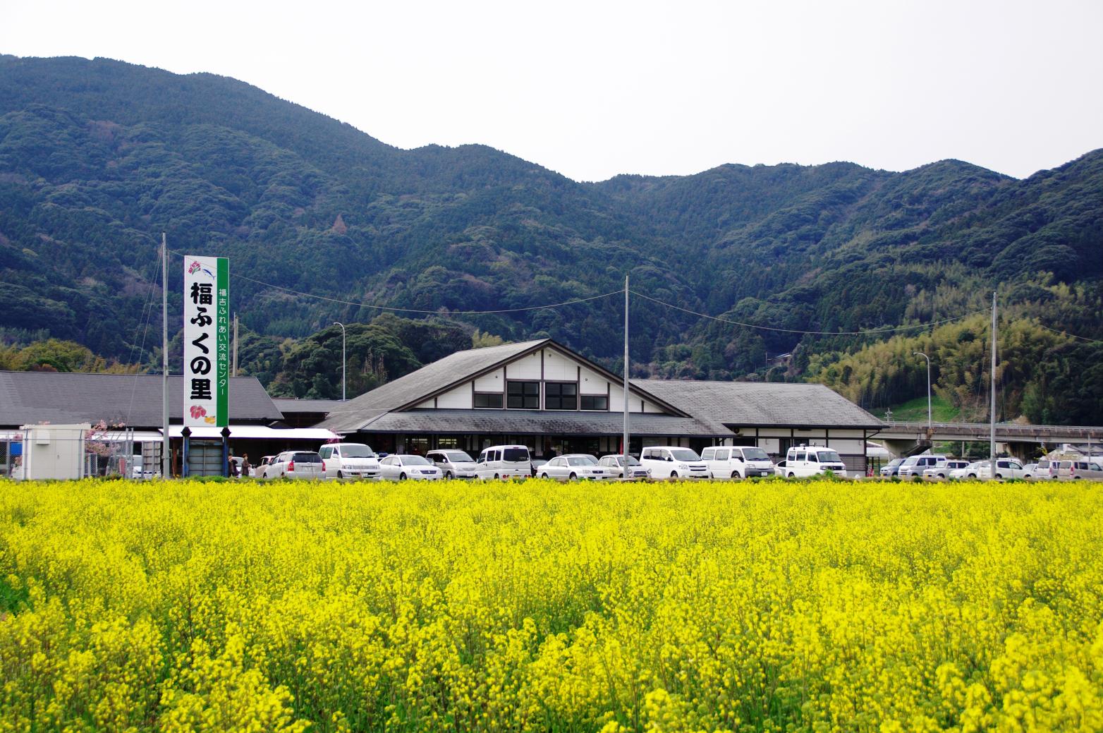 ⑫Fukuyoshi Fureai Koryu Center: Fuku-Fuku-no-Sato-0