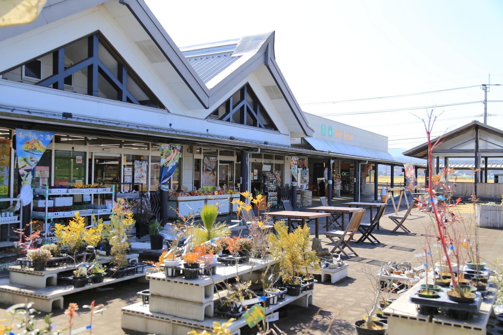 ⑨Michi no Eki Shinyoshitomi Roadside Station-0