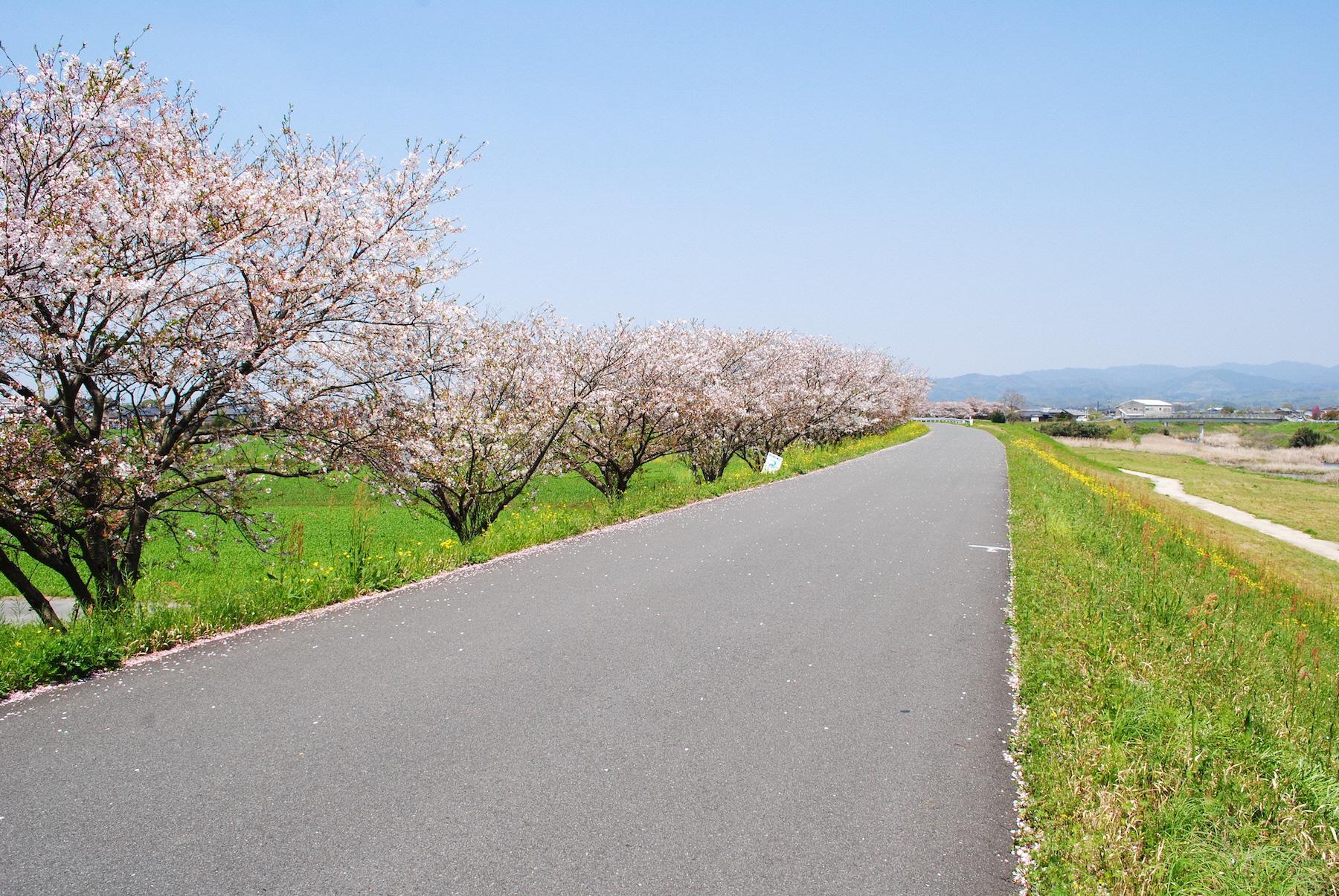 ②矢部川沿い（矢部川浪漫街道）-0