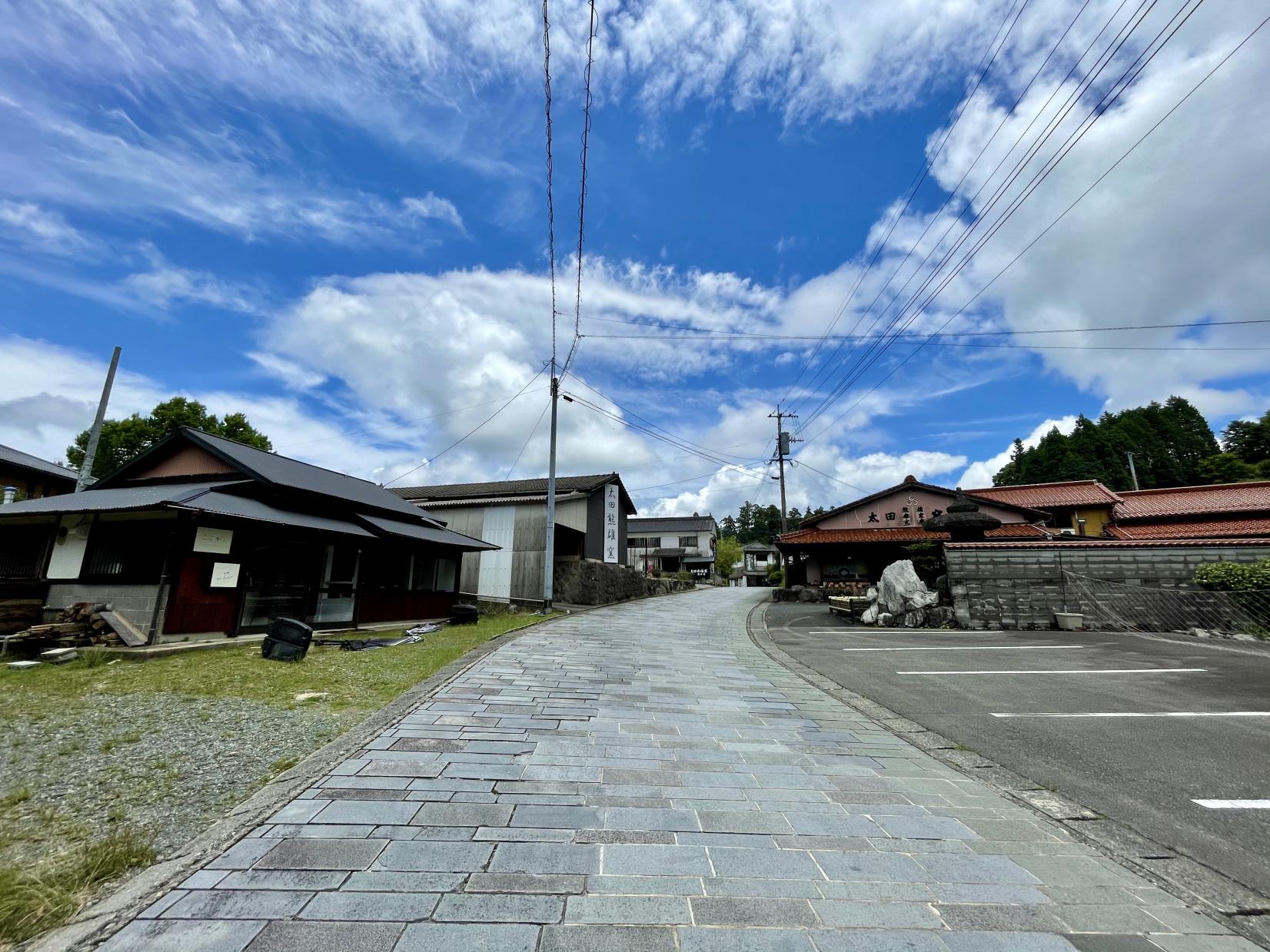 厳かにたたずむ巨木・行者杉-2