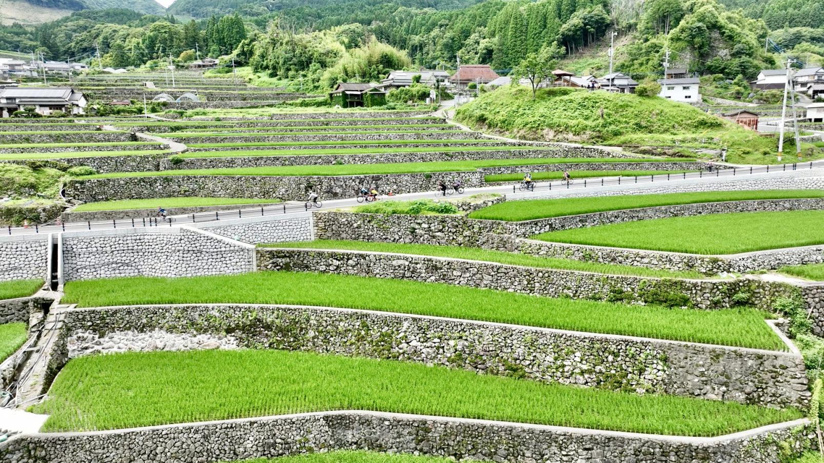 美しい日本の原風景！　竹地区の棚田-0