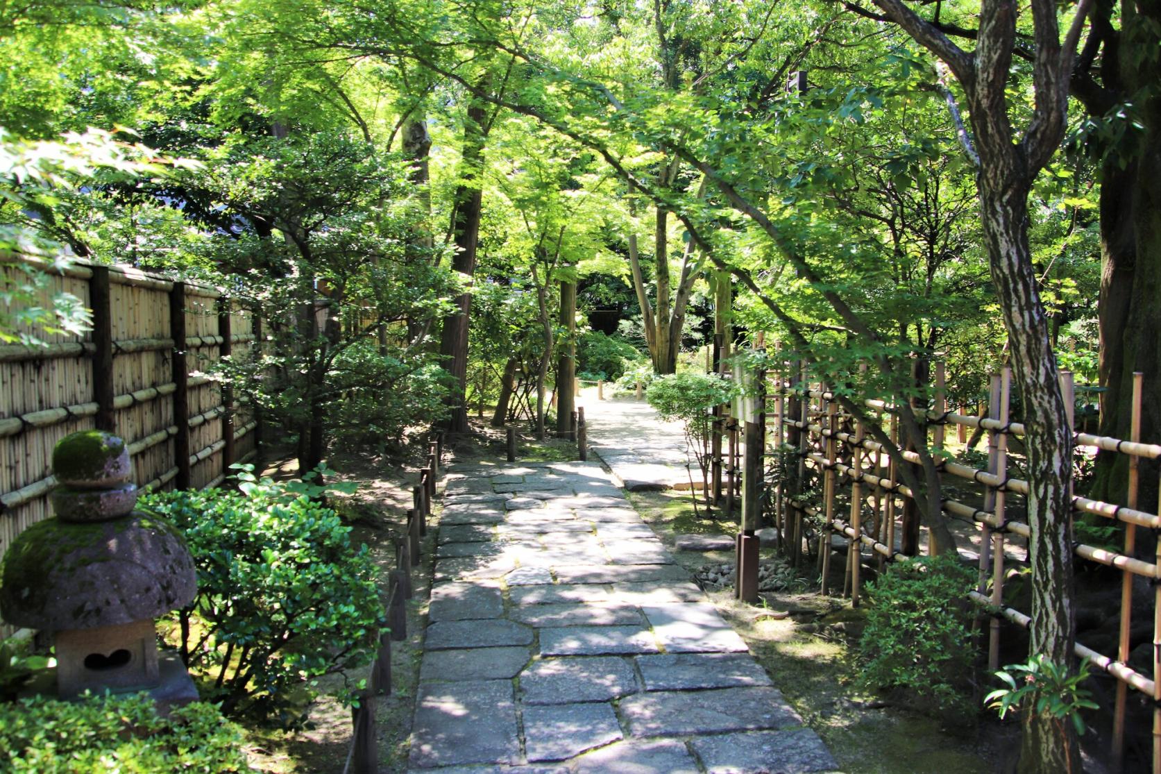Rakusuien Garden (Strolling-Style, Fukuoka City)-1