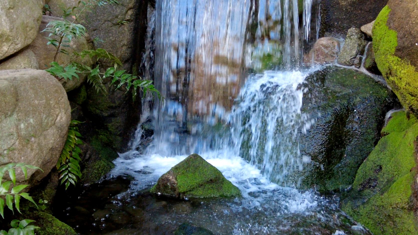 Rakusuien Garden (Strolling-Style, Fukuoka City)-3