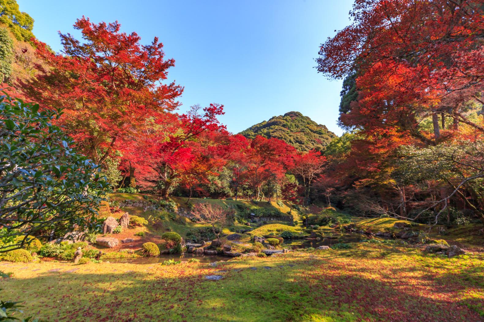 【鑑賞式】清水寺本坊庭園（三山市）-1