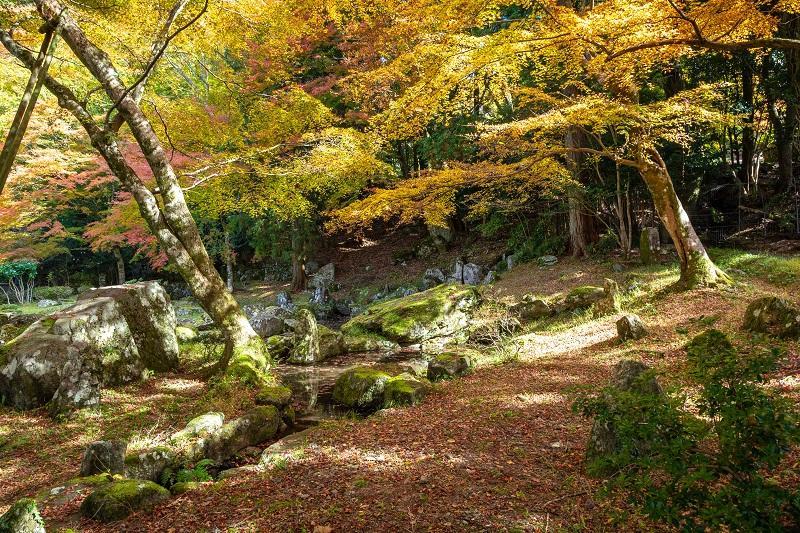 【观赏式】旧龟石坊庭园（田川郡添田町）-0