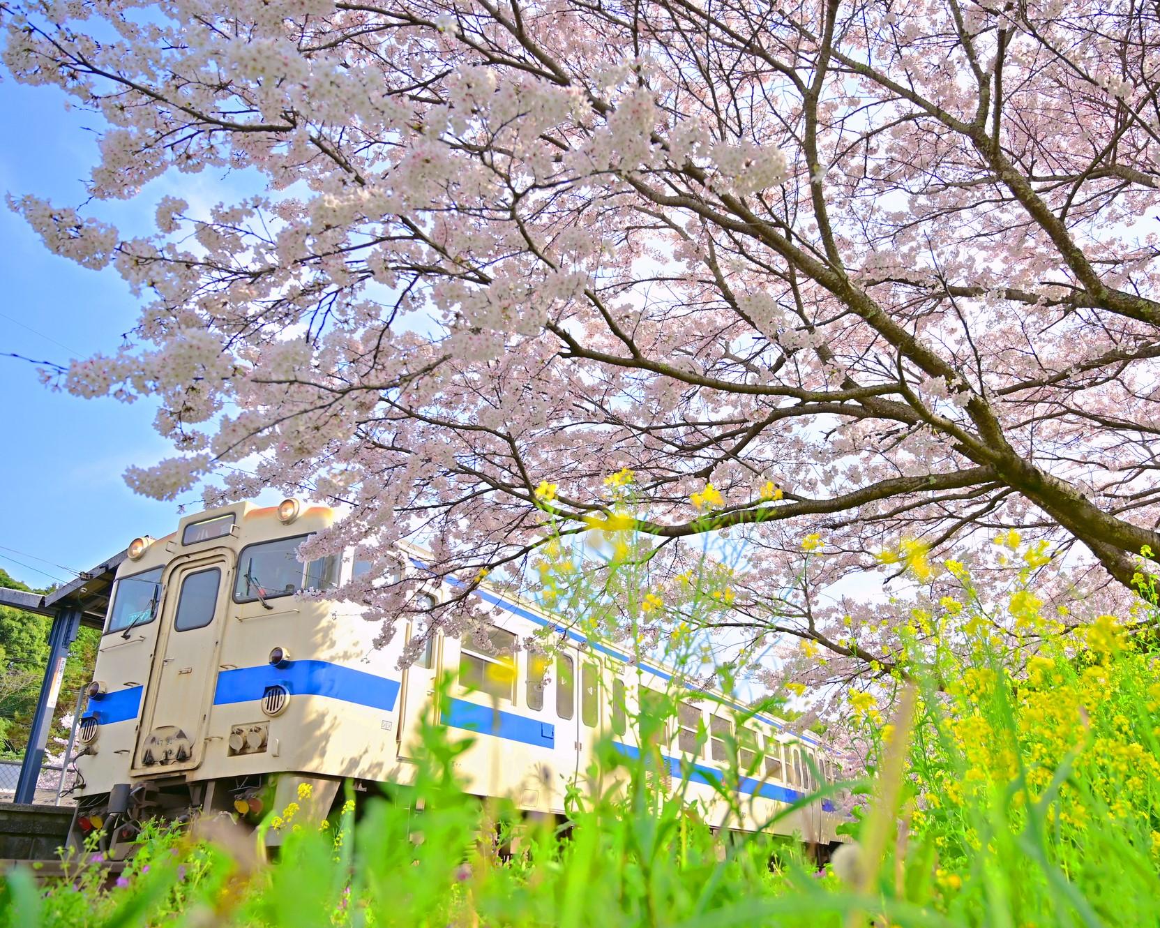 築100年以上！レトロな雰囲気が魅力の採銅所駅-1