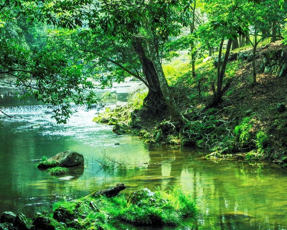 夏の水遊びスポット！千石峡-0