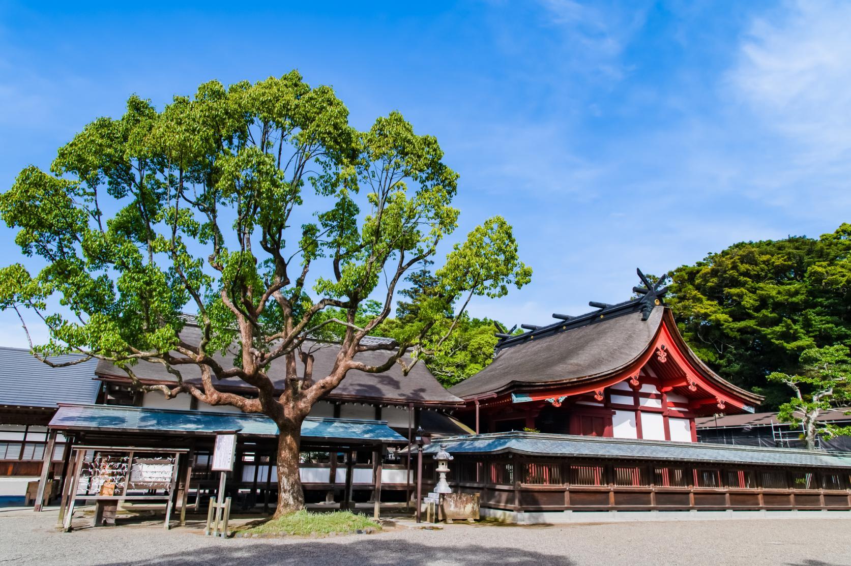 [Munakata Taisha Shrine] World Heritage x Japan’s Oldest! Experience the overwhelming power and history!-1