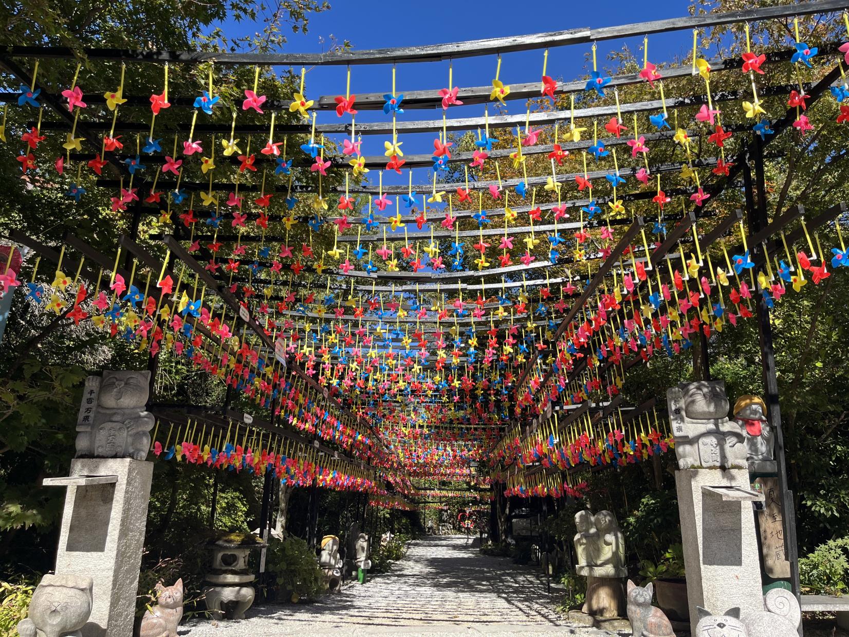 [Mitsui Temple] A photogenic temple decorated by wind bells in summer and autumn leaves in the fall-1