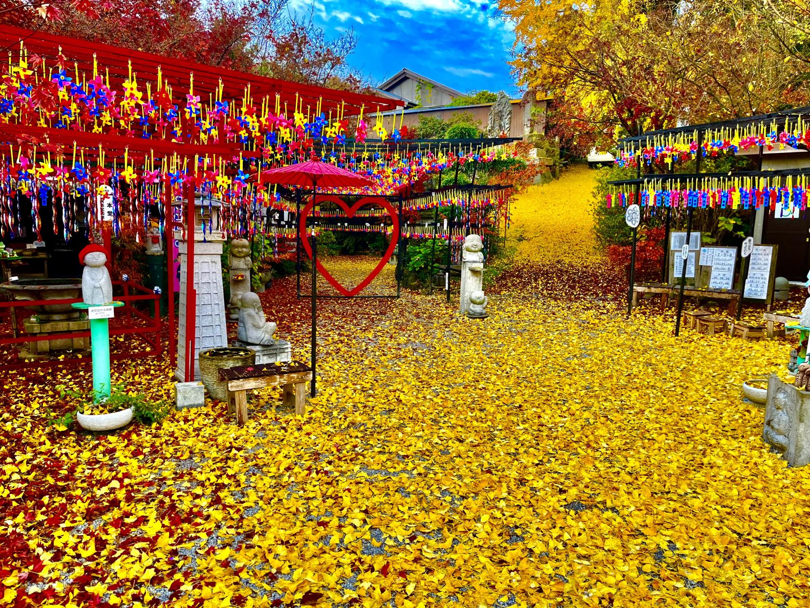 [Mitsui Temple] A photogenic temple decorated by wind bells in summer and autumn leaves in the fall-5