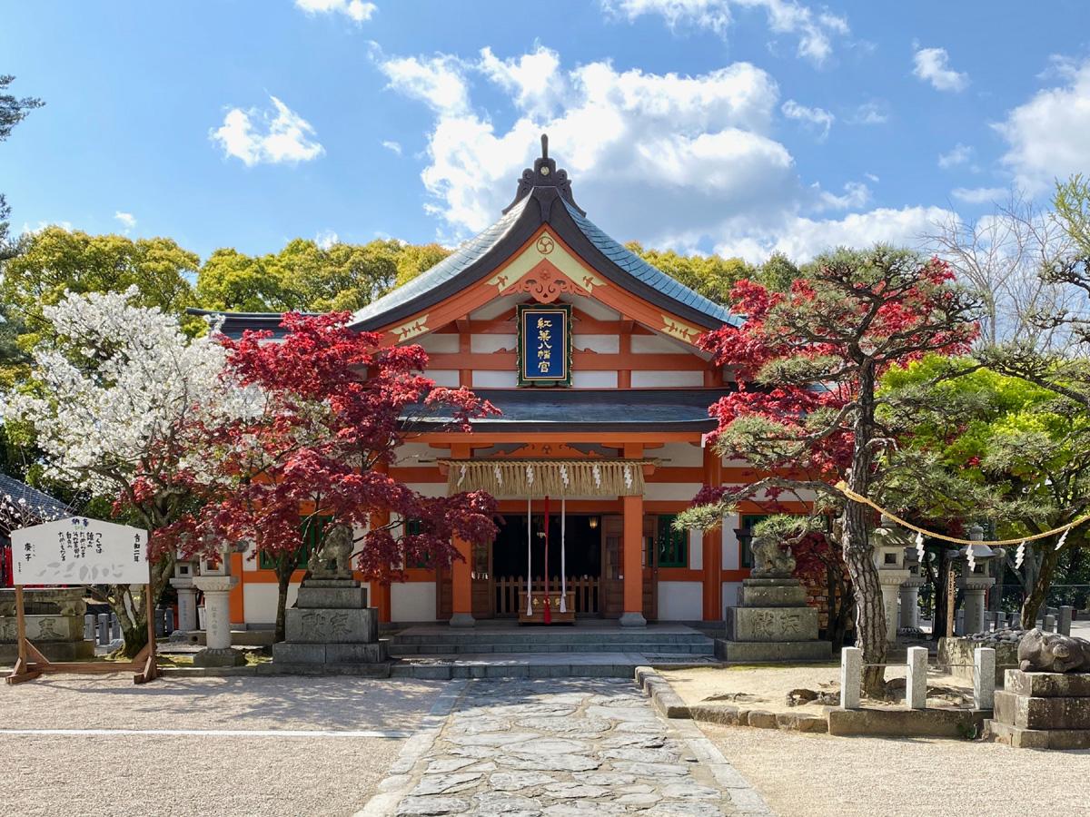 小巧可愛的紅葉形繪馬及御神籤♡【紅葉八幡宮】-1