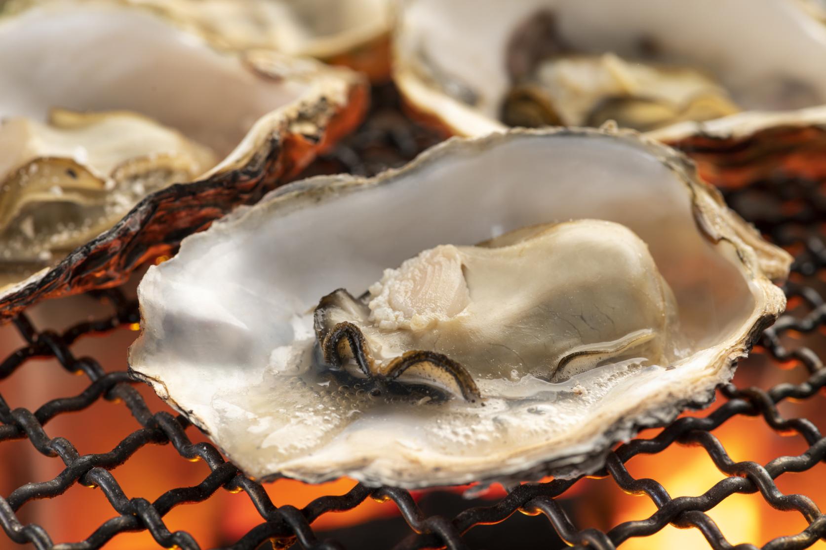 How to tell the best time to eat oysters!-0