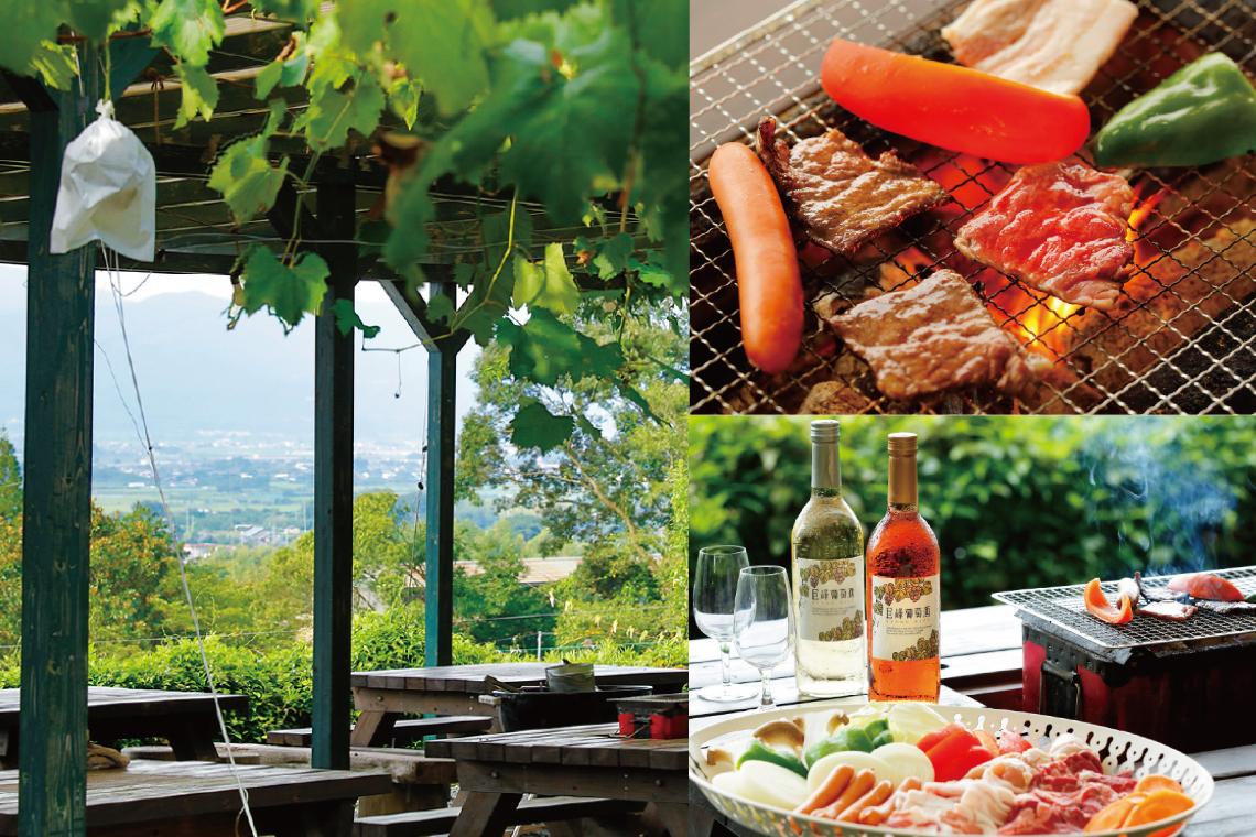 Look out over the Chikugo Plain and the grape fields-2