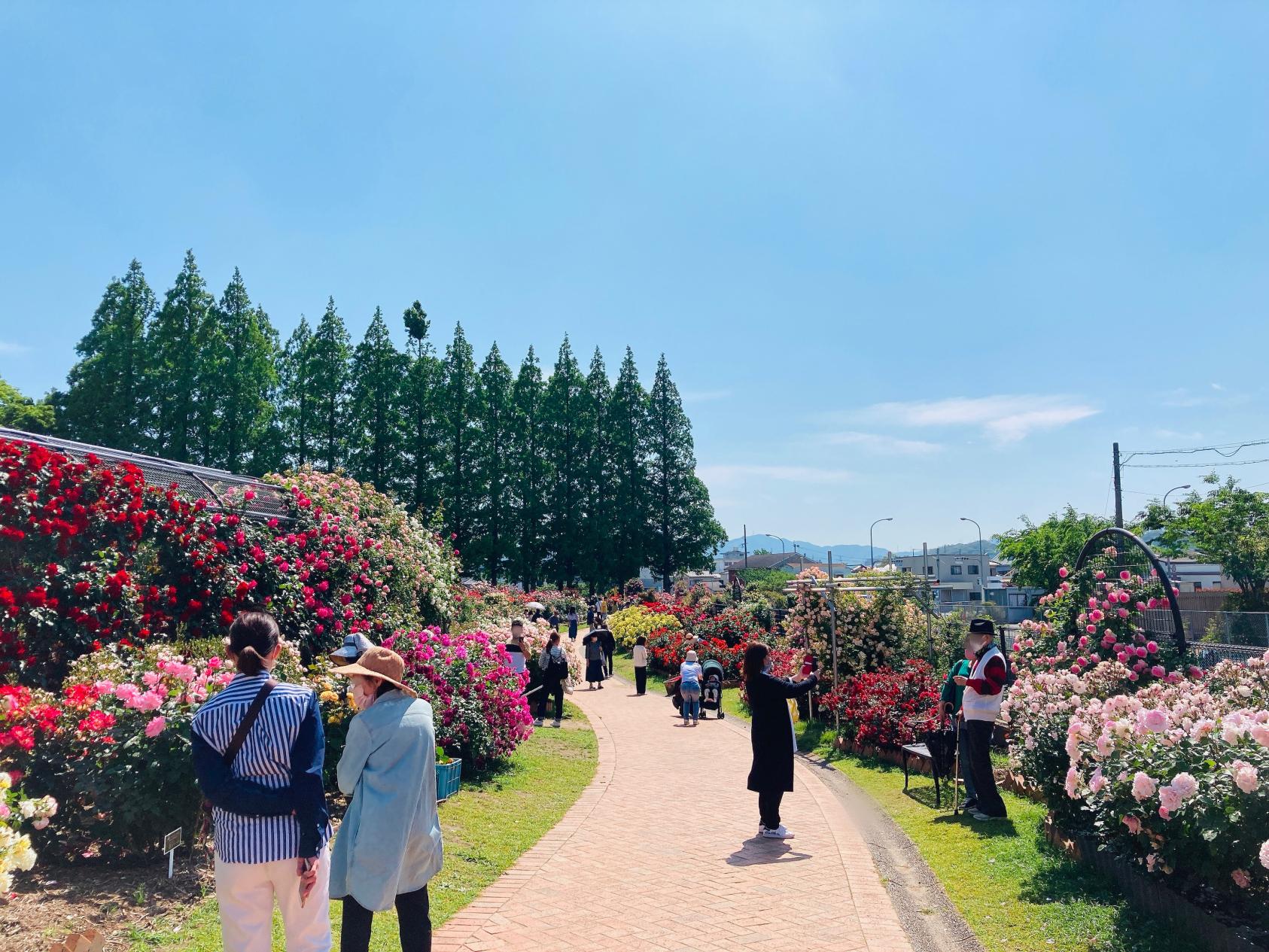 Hananooka Park, Kitakyushu City Sougou Nouji Center (General Agricultural Center) (Kitakyushu City)-3