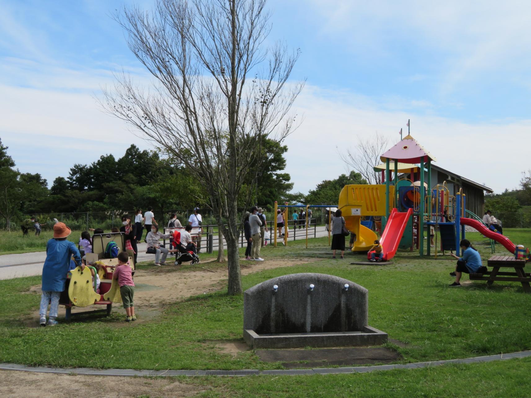 Sola Land Hiraodai (Hiraodai Countryside Park) (Kitakyushu City)-1