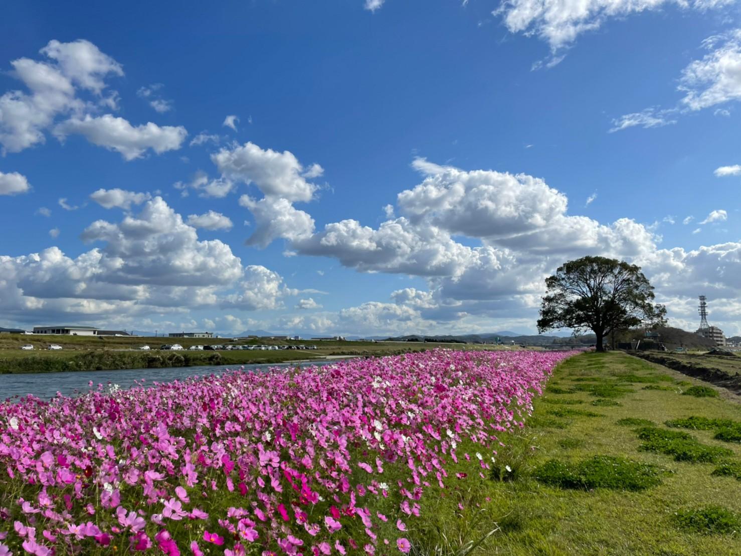 Nogata Riverside Park (Nogata City)-2