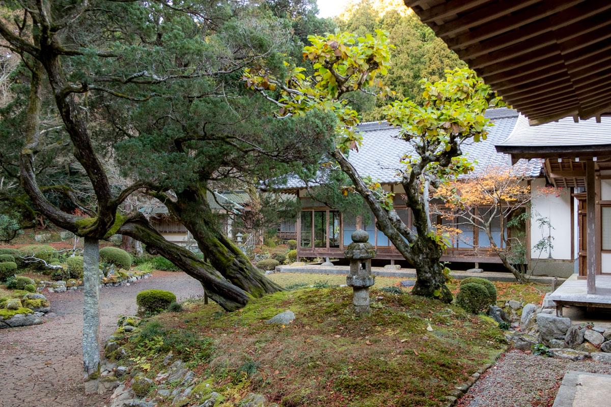 The 400-Year-Old Maple Tree, Autumn Leaves, and Garden of Raizan Sennyoji Daihioin Temple-2