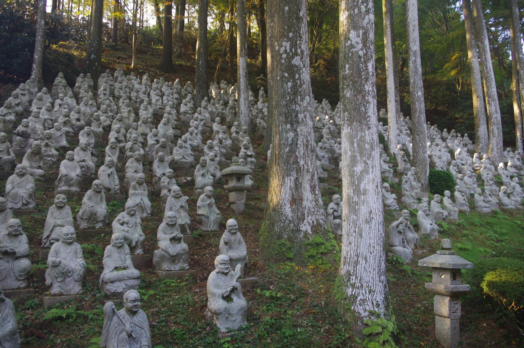 Visit the 500 Stone Deities of Buddha and the Temple Founder-1