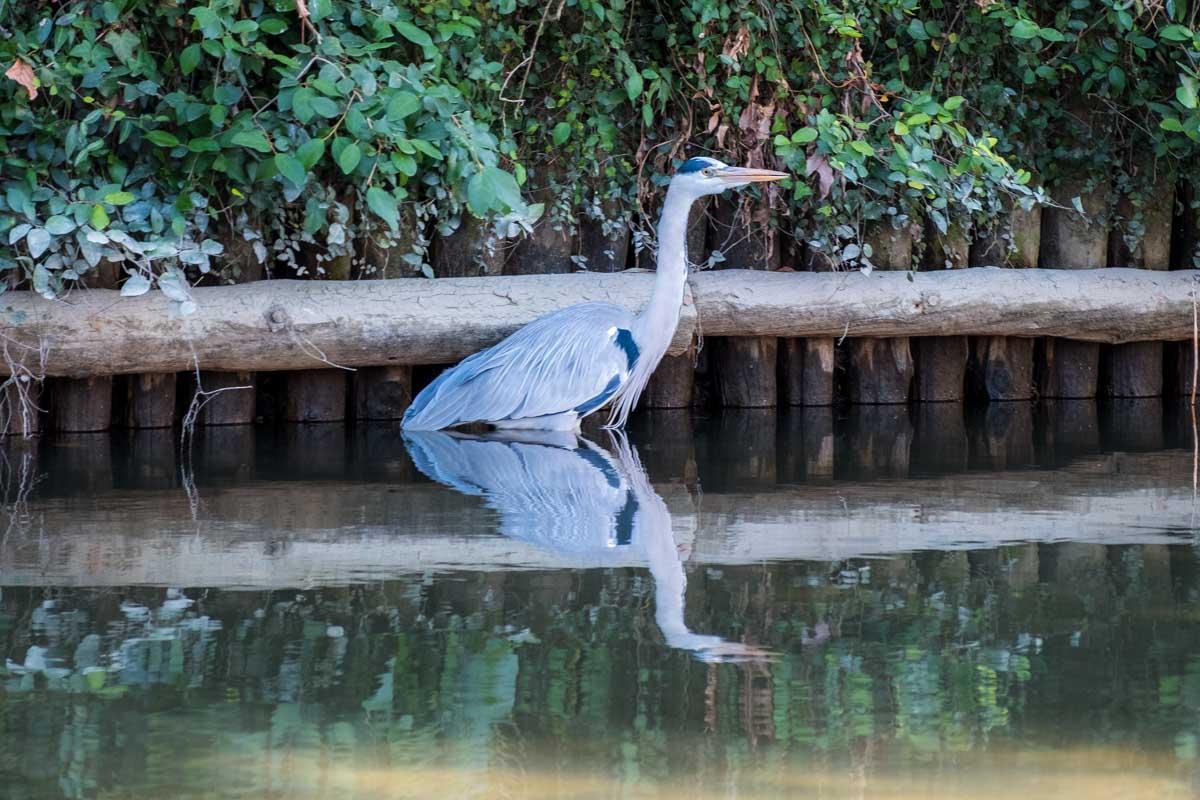 Head Down the Yanagawa River on a Boat Cruise-3