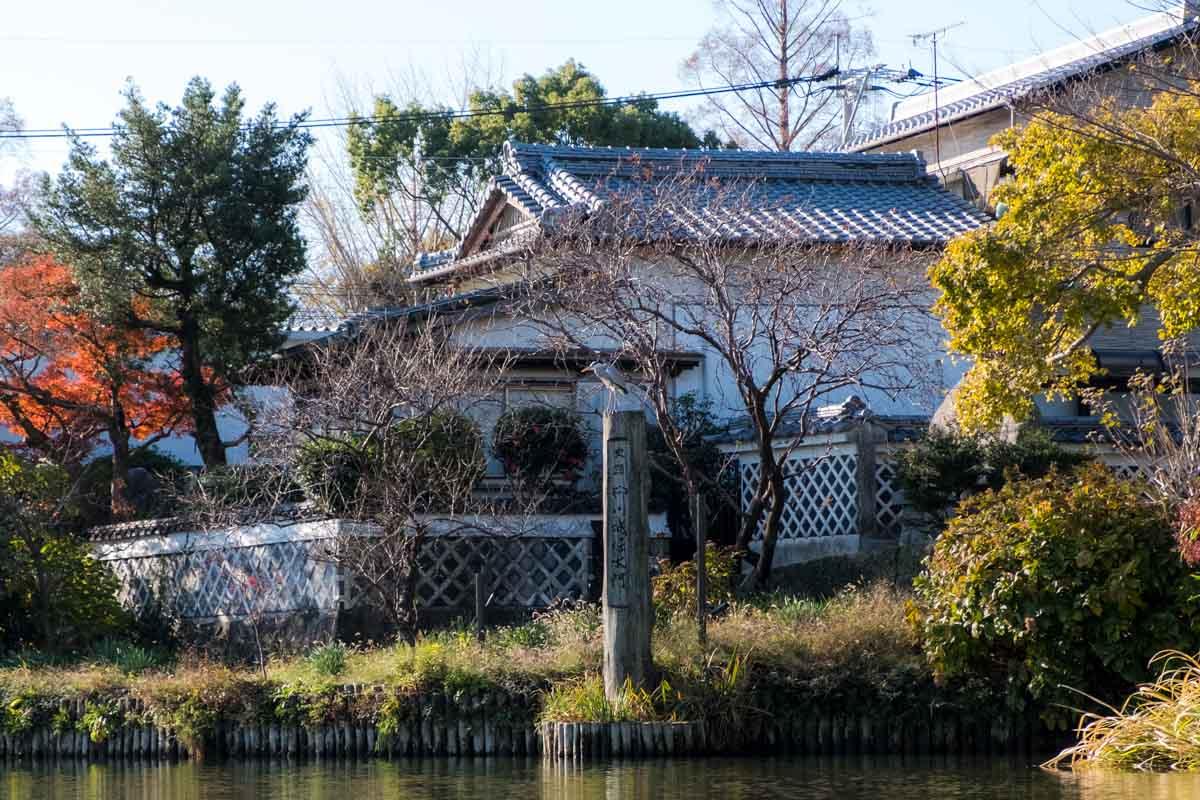 Head Down the Yanagawa River on a Boat Cruise-2