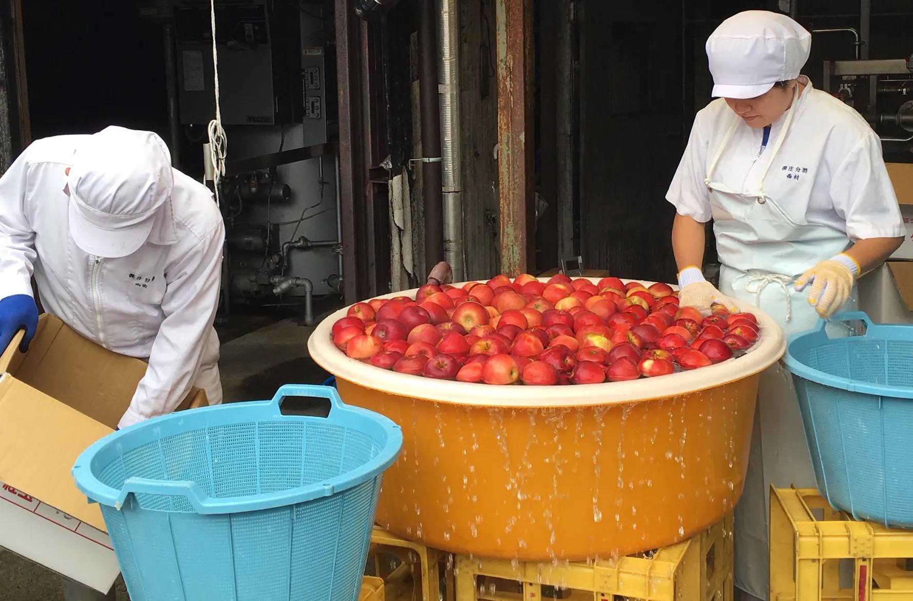 Shobunsu Vinegar Brewery Tour (Okawa City)-6