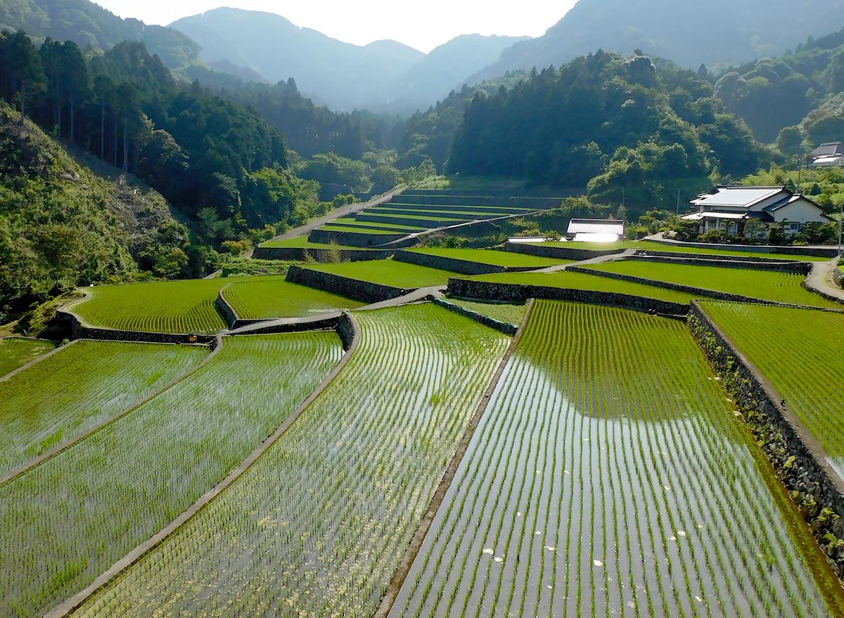 ４.竹地区の棚田-0