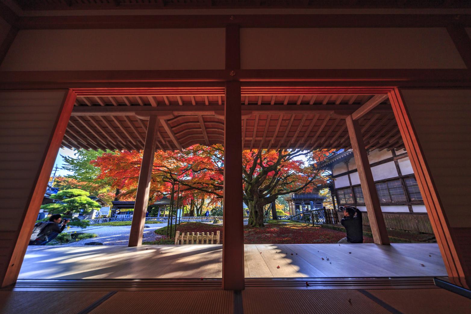 Come for both the new summer greenery and the autumn leaves! Raizan Sennyoji Daihioin Temple-3