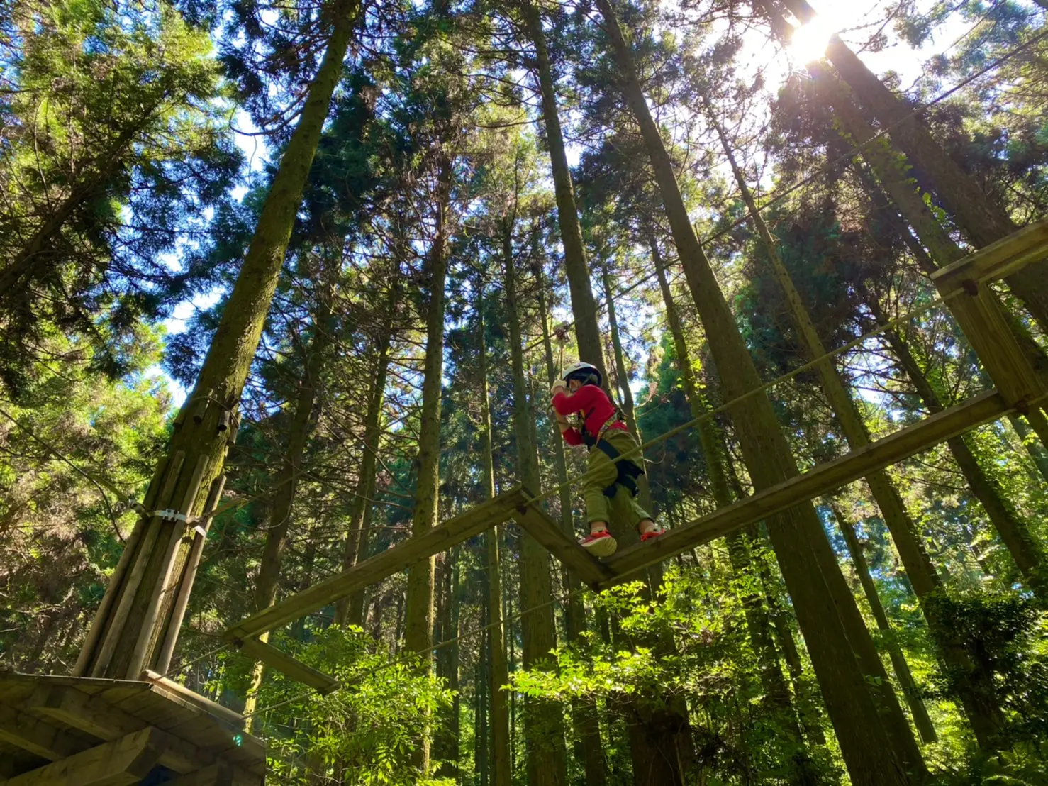 Enjoy thrilling activities in the forest 700 meters up at Forest Adventure Itoshima!-0