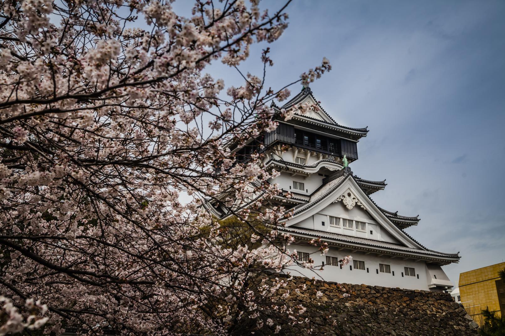 Exploring Kitakyushu, Home of TOTO-0